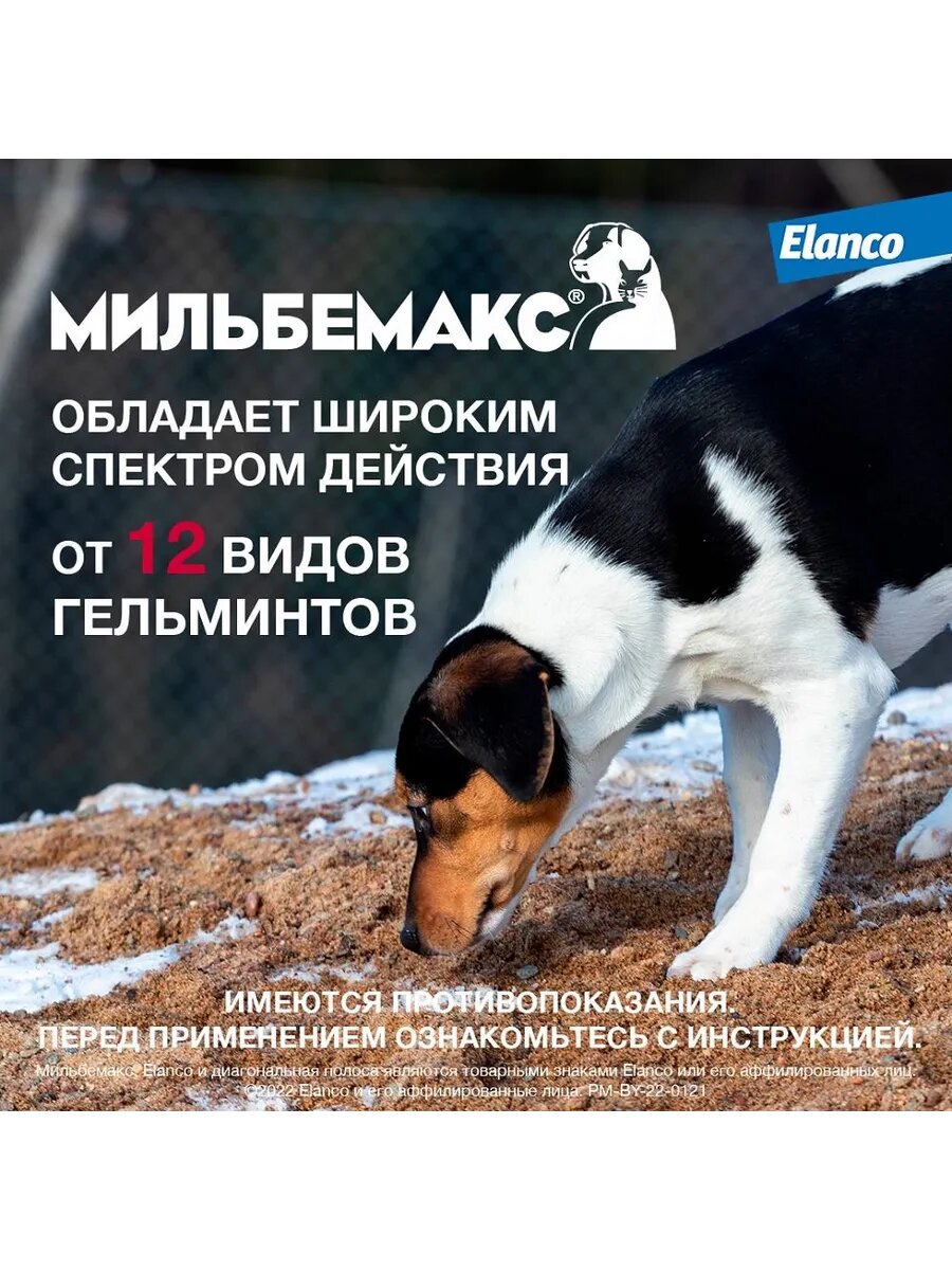 Мильбемакс Таблетки от глистов для щенков и собак малых пород, 2 таб. — фото 1