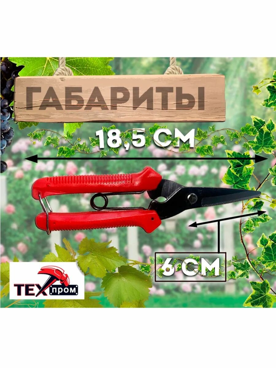 Секатор техпром "S 5042/1", сталь, ABS-пластик, длина лезвия 80мм, эргономичный дизайн — фото 1