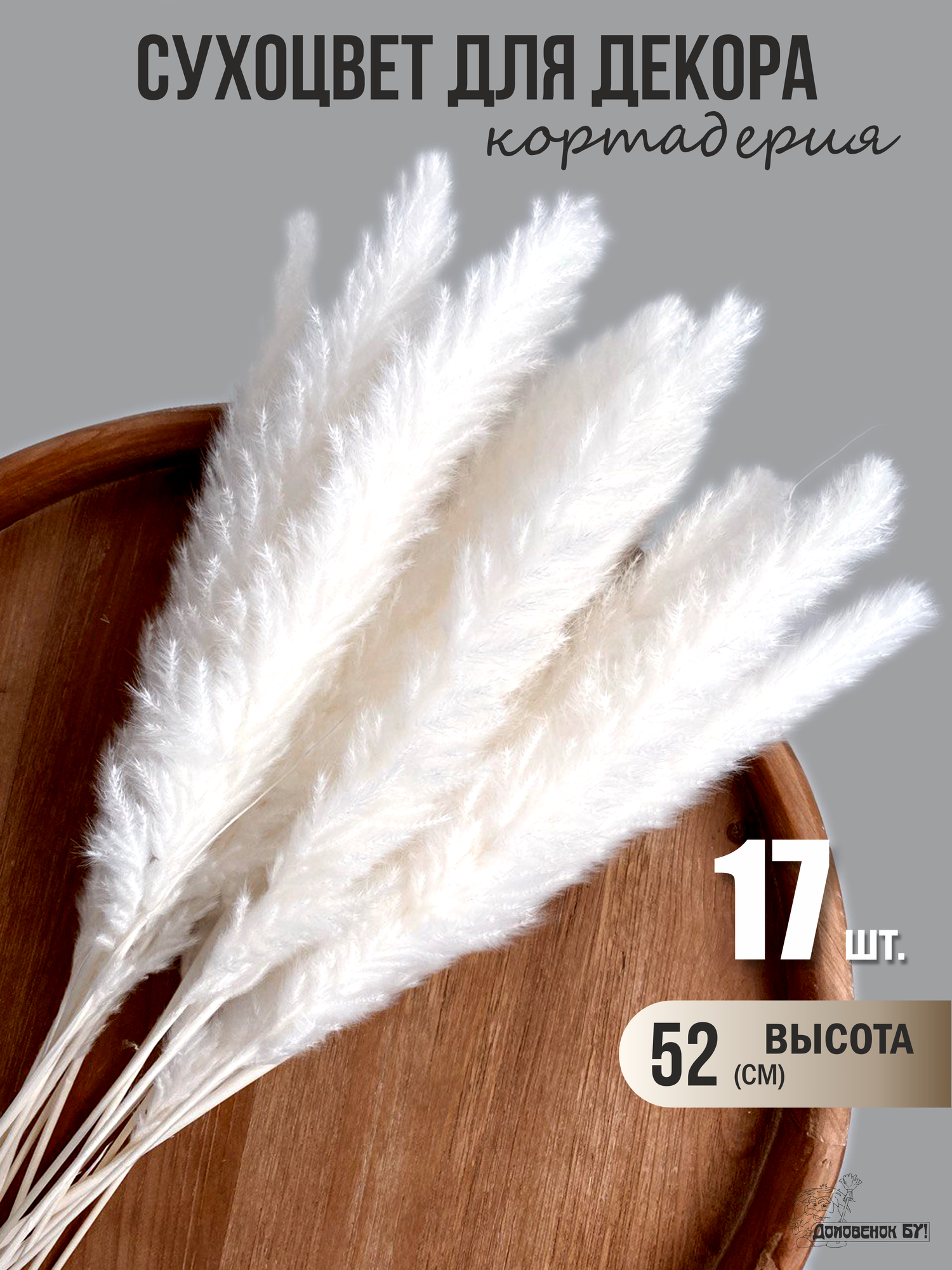 Сухоцвет для декора пампасная трава кортадерия