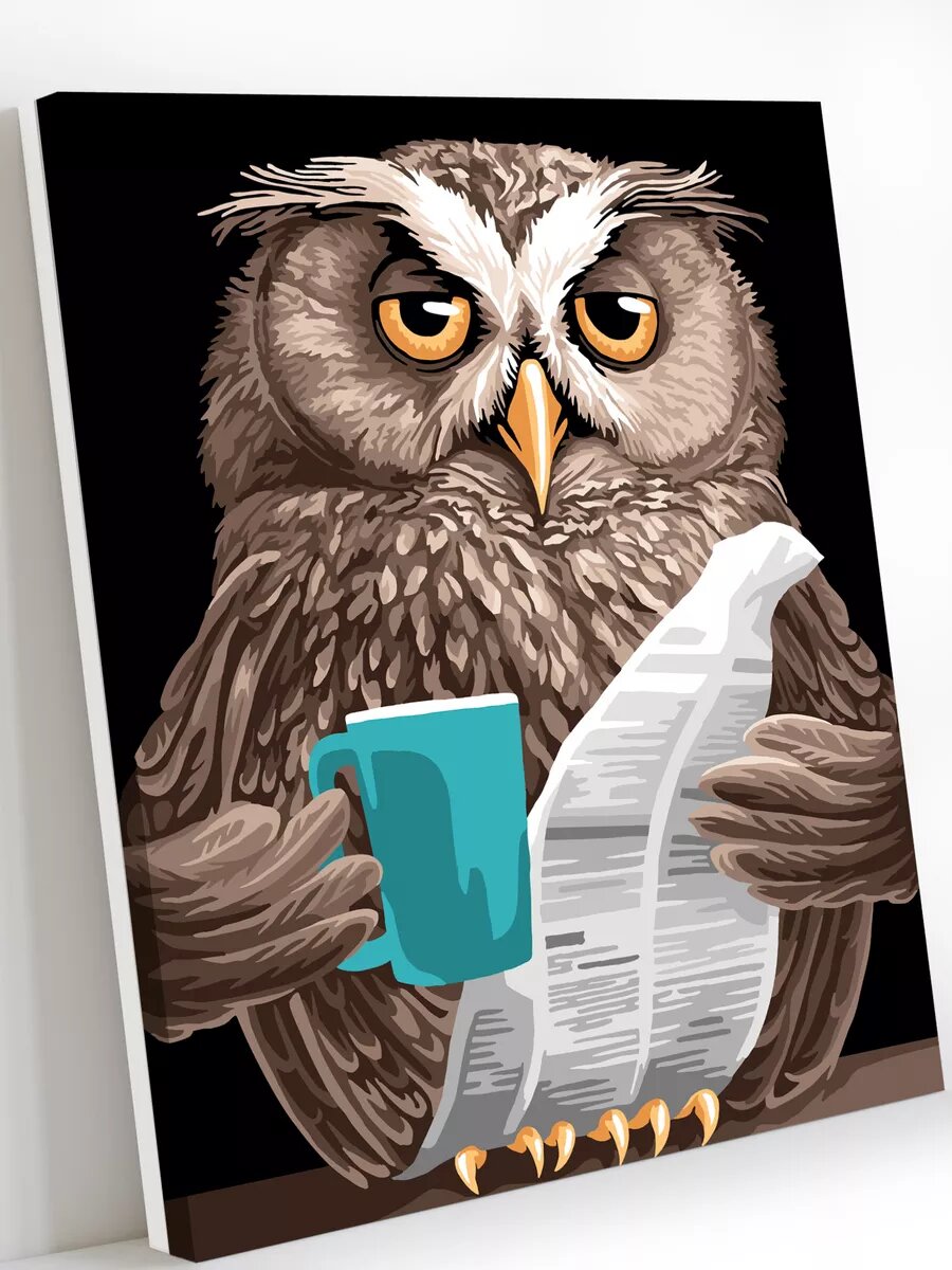 Картина по номерам на холсте с подрамником 40х50 см Утро совы