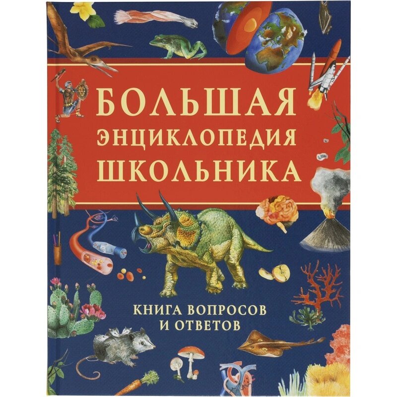 Энциклопедия школьника . Книга вопросов и ответов 63934
