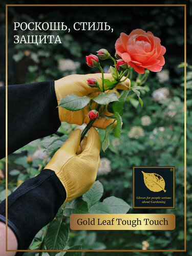 Изображение товара Перчатки садовые из оленьей кожи для роз и колючих растений (M / 6-8)