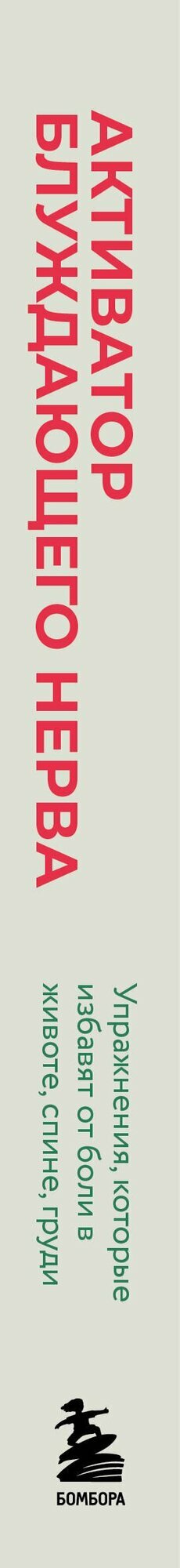 Активатор блуждающего нерва. Упражнения, которые избавят от боли в животе, спине, груди и восстановят нервную систему — фото 1