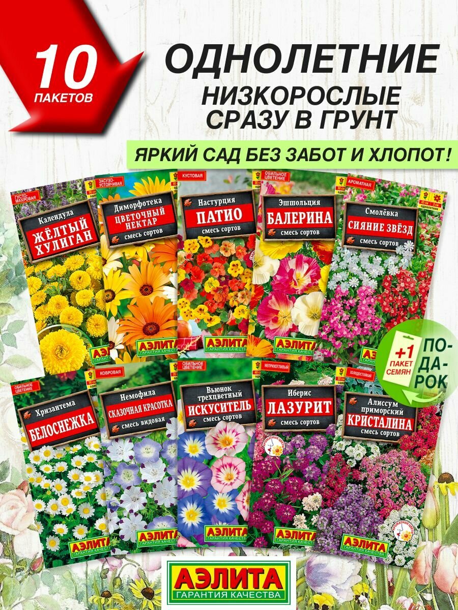 Семена цветов Аэлита Однолетние низкорослые Сразу в грунт 10 сортов / Семена Однолетних