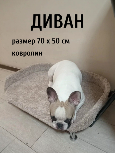 Изображение товара Лежанка для собак Моя Котя на ножках, бежевый ковролин, 70х50х10см