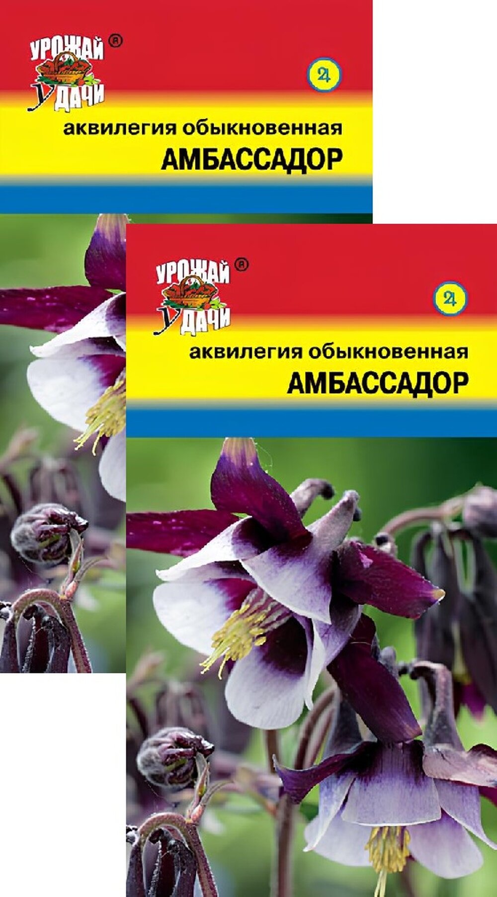 Семена Аквилегия Амбассадор (005 г) 2 пакета Урожай Удачи