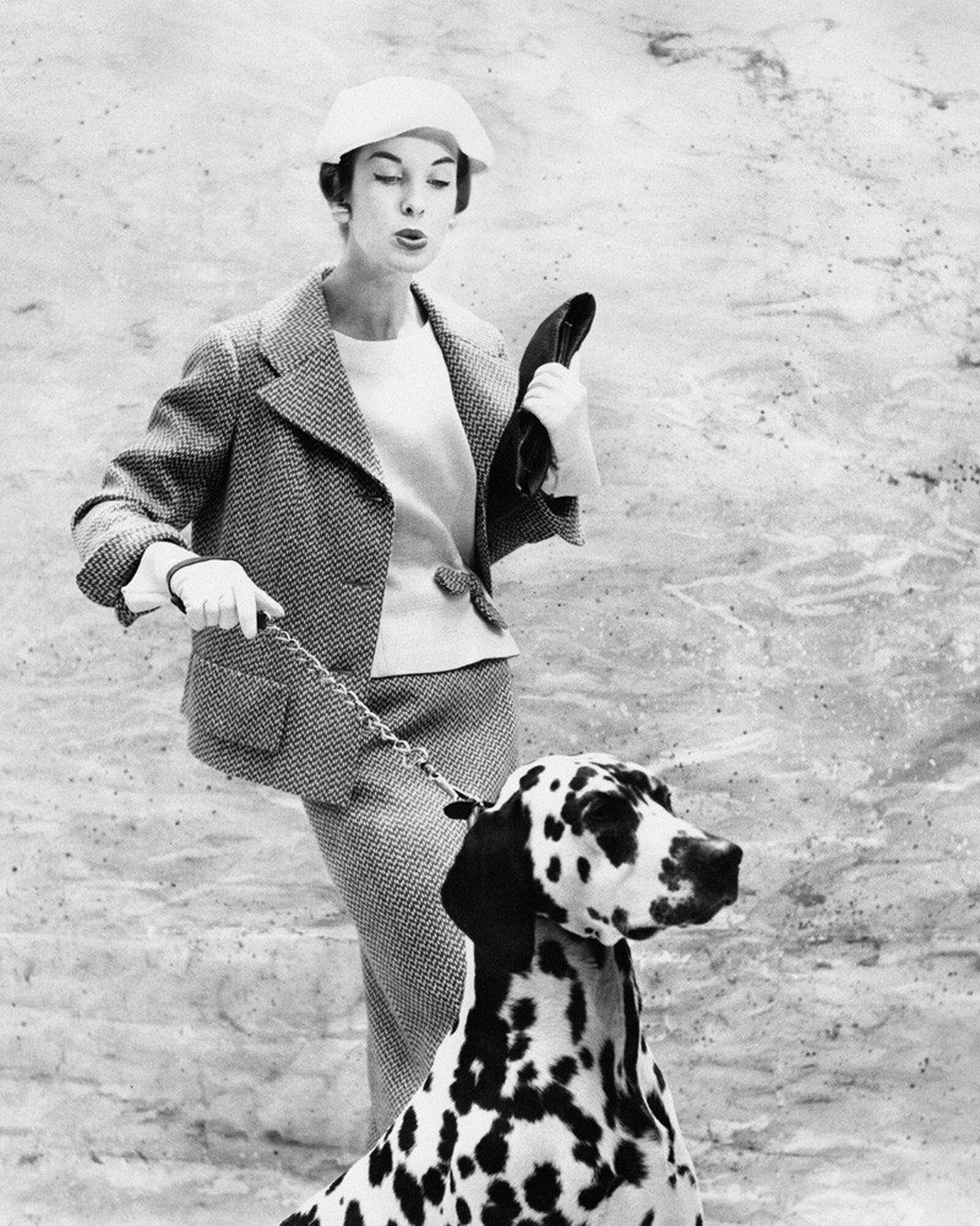 Плакат, постер Аведон: Дама с далматином на бумаге, размер 21х30см