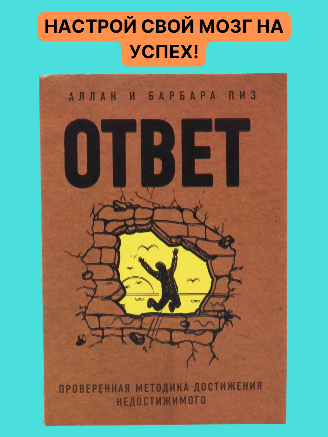Ответ, проверенная методика достижения недостижимого, Аллан и Барабар Пиз