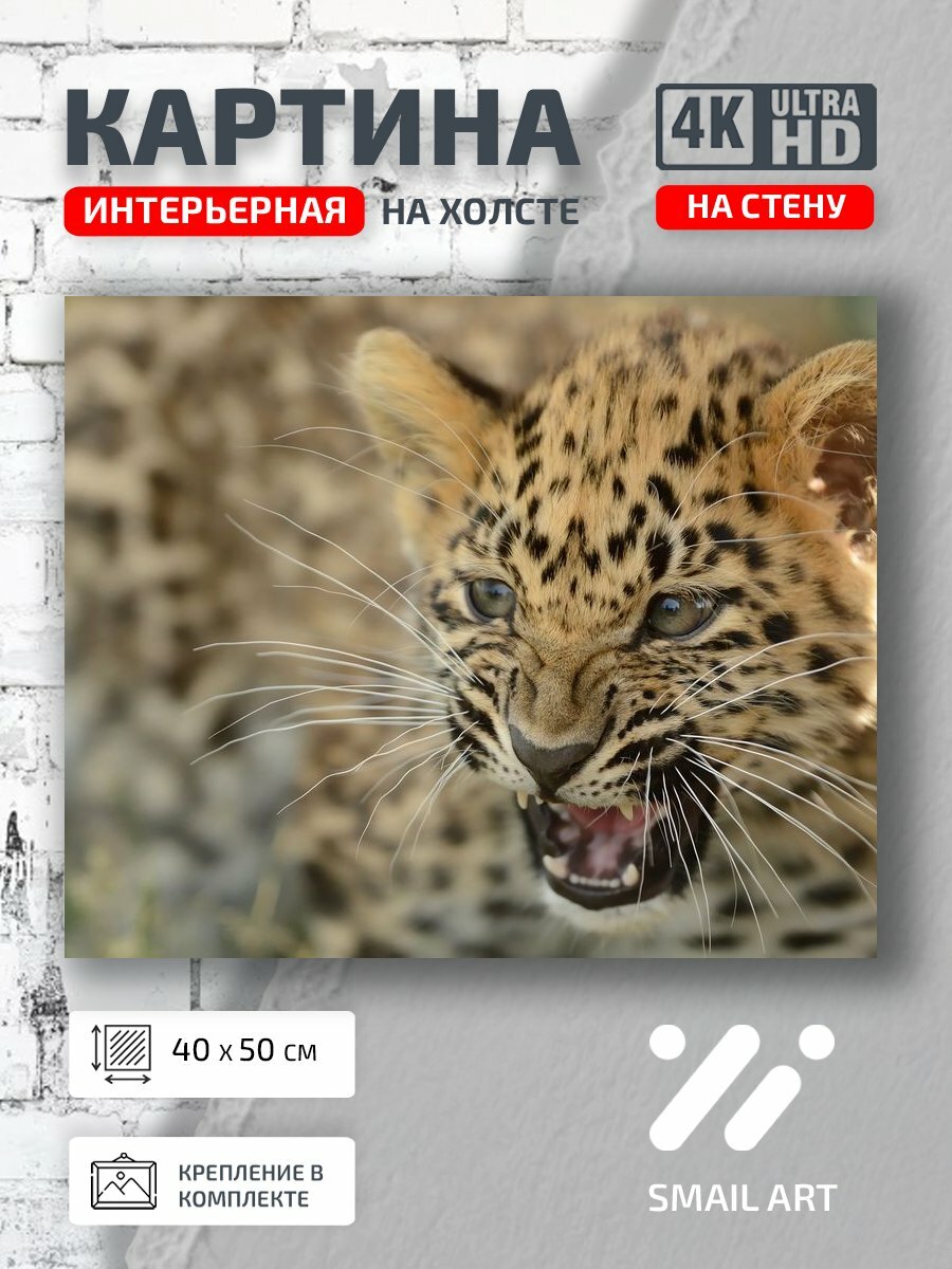 Картина на холсте интерьерная 40 на 50 на стену Леопард Mood для офиса атмосфера интерьер