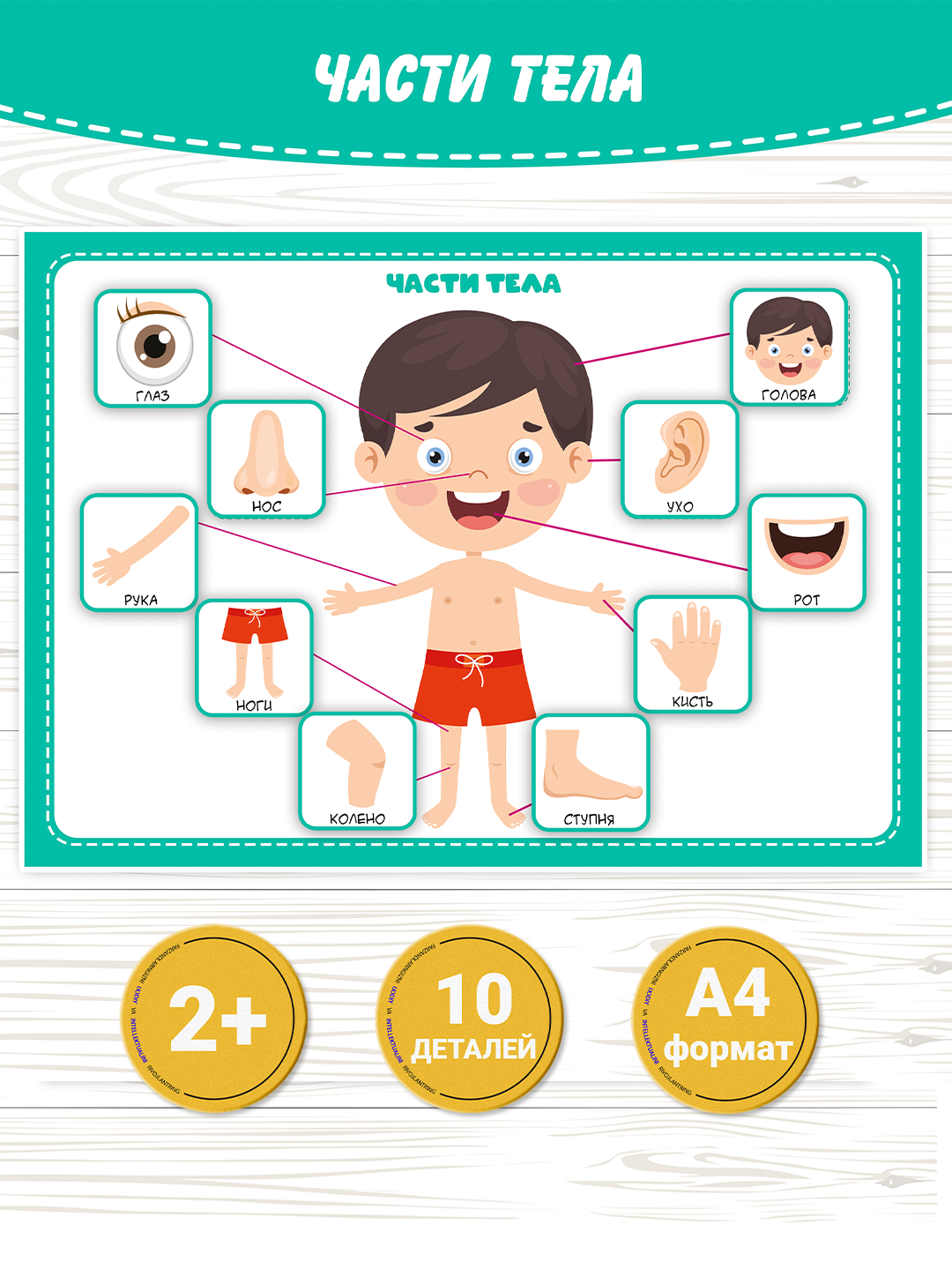 Развивающая игрушка, на липучках Alphabet, 34 детали, для развития моторики и внимания