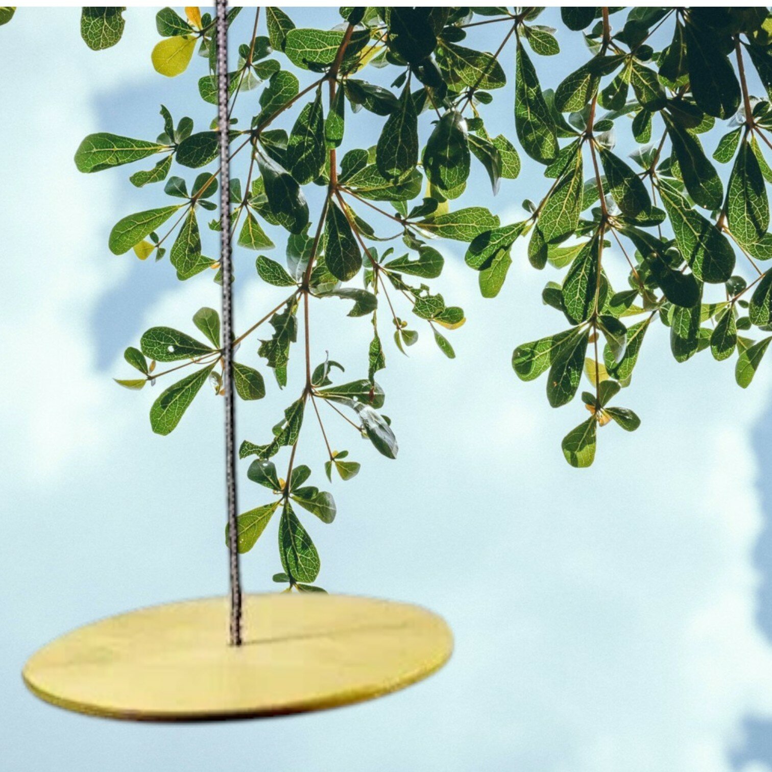 Деревянные качели-диск Лиана Midzumi M014386, материал диска: дерево