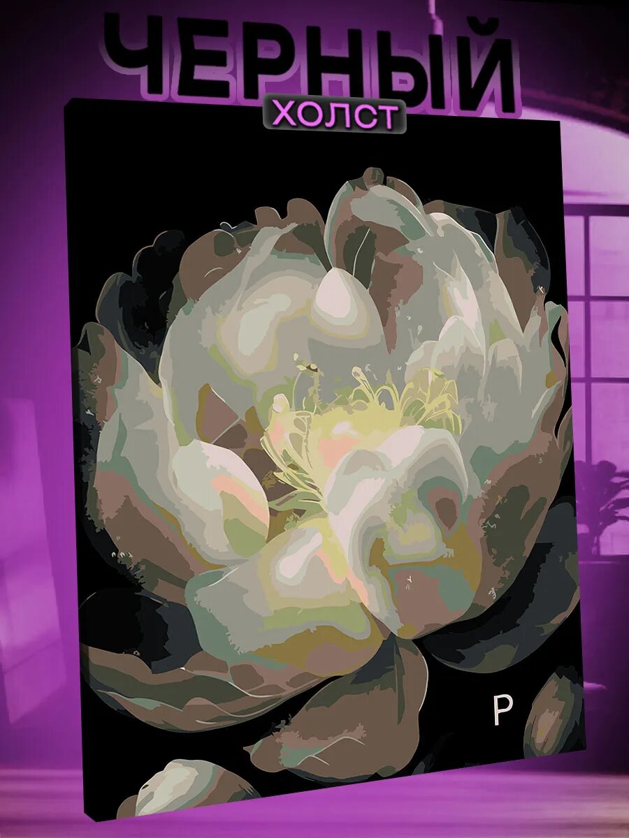 Картина по номерам на черном холсте