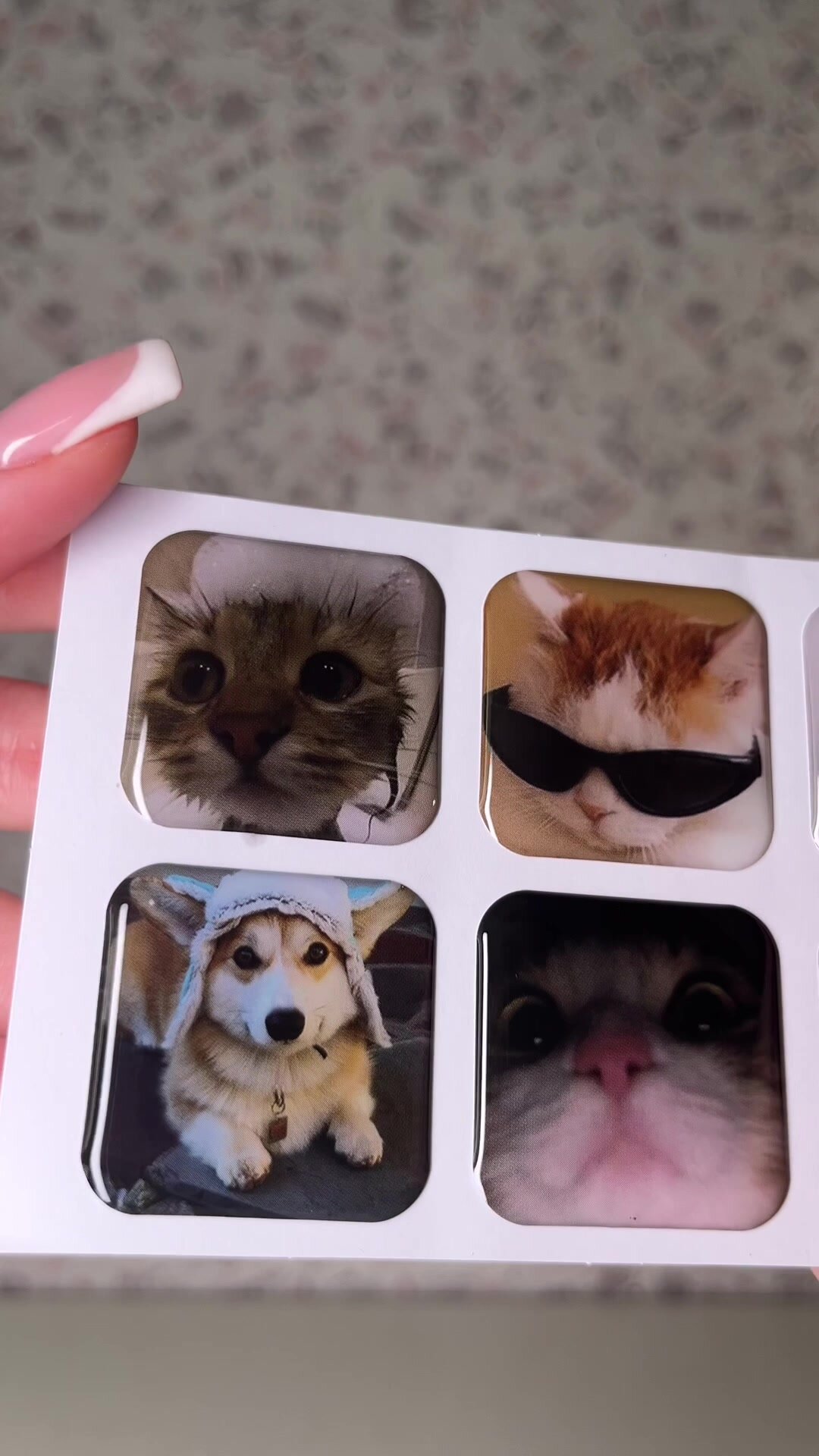 3Д стикеры "Котики" наклейки на телефон — фото 1