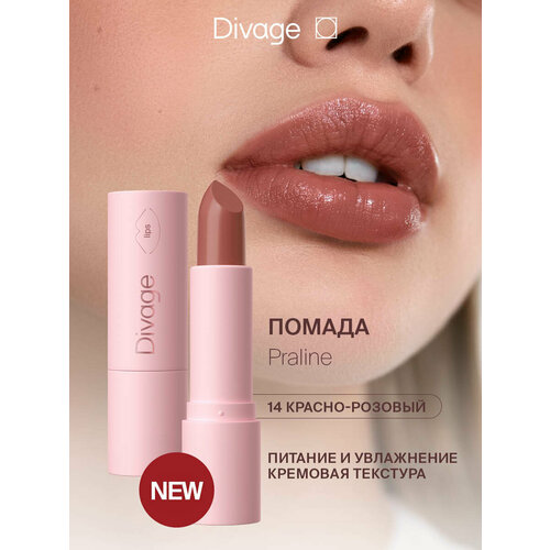 Divage Помада для губ кремовая Praline тон 14 tender dreams красно-розовая