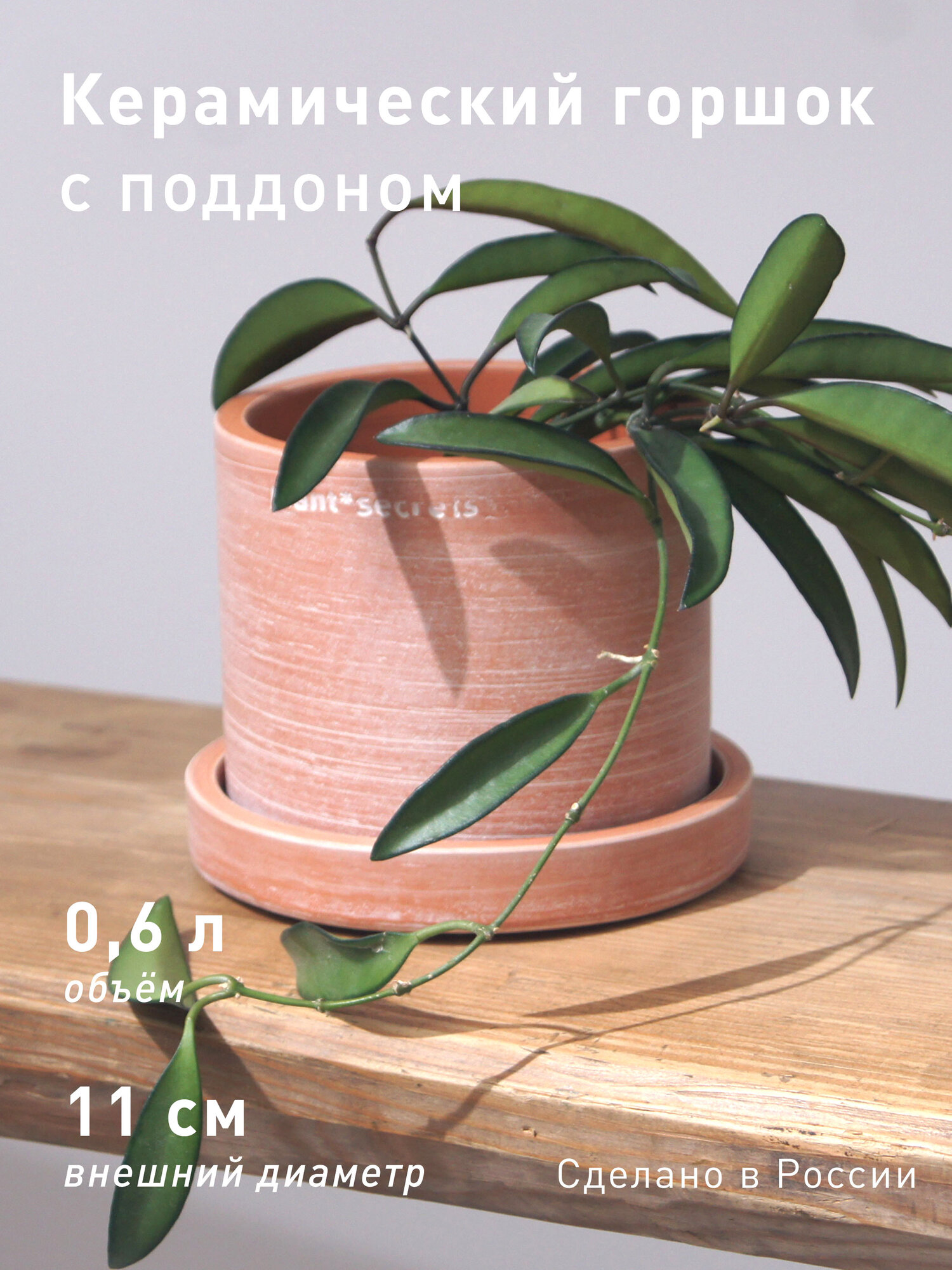 Горшок для цветов P*S 