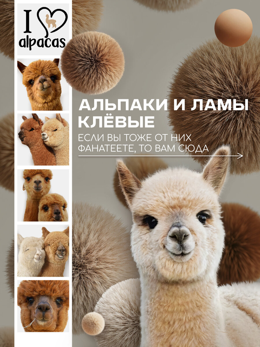 Постельное белье Uniqcute 2-спальное, Поплин, наволочки 50х70 см, Альпака лав — фото 1