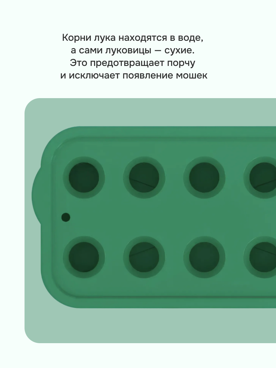 Лоток для выращивания зеленого лука — фото 1