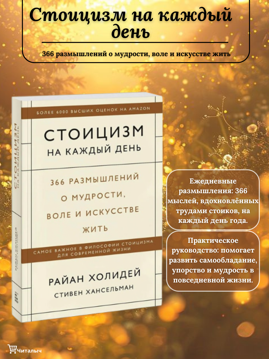 Стоицизм на каждый день. 366 размышлений о мудрости, воле и искусстве жить