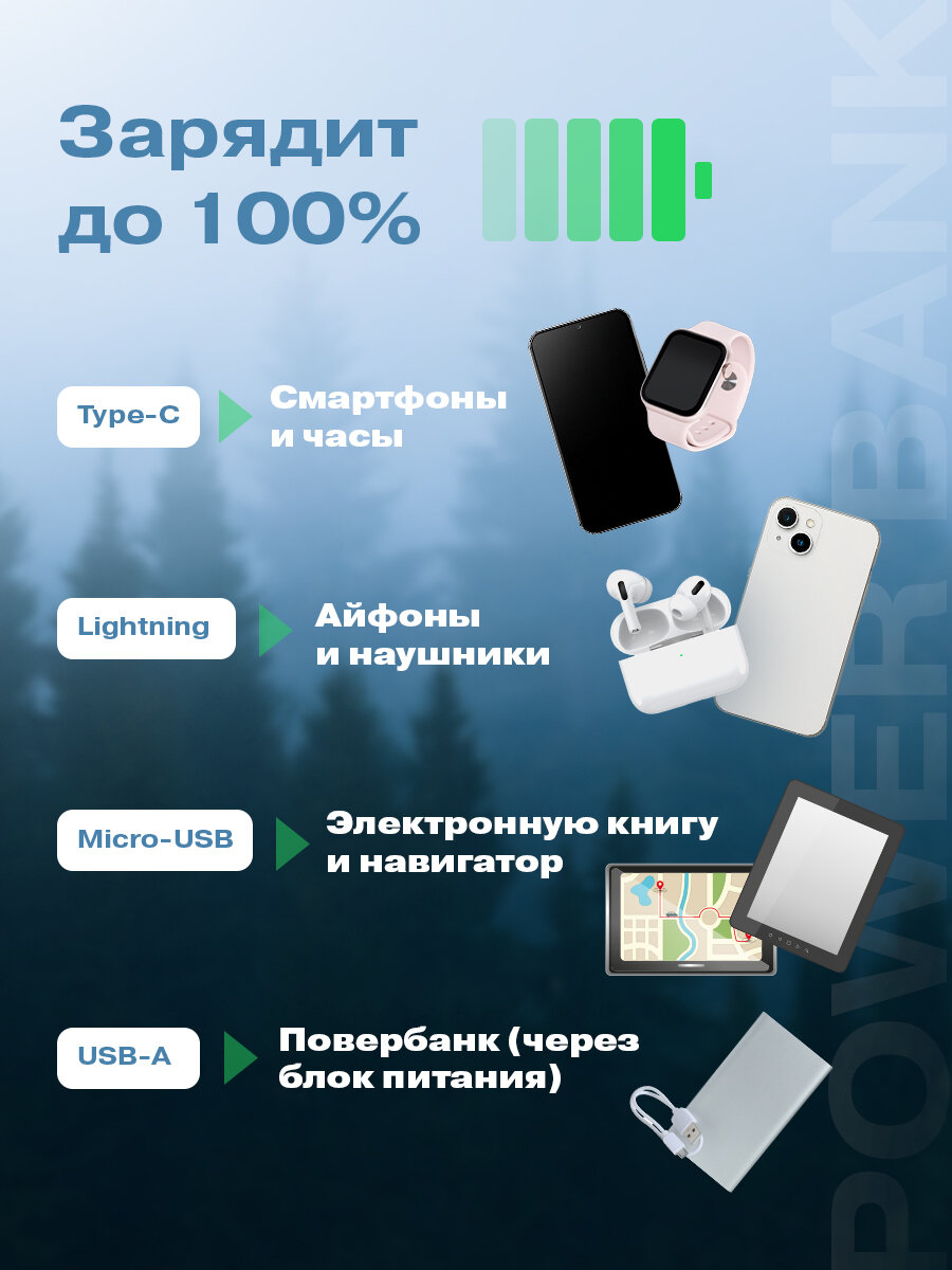 Портативное зарядное устройство Power Bank (аккумуляторная батарея) 10000 mAh, черное REXANT — фото 1