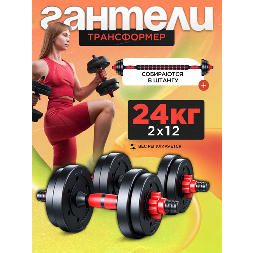 Гантели разборные ТИТАН для фитнеса + штанга спортивная 2 шт. по 12 кг
