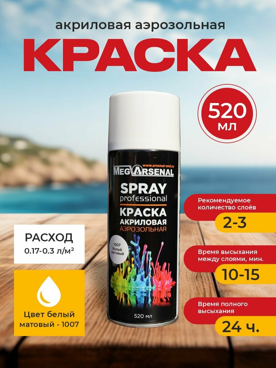 Краска акриловая аэрозольная MegArsenal белый матовый 1007 520мл