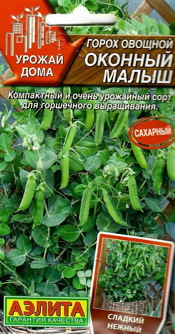 Горох овощной Оконный малыш (10 семян) - Урожай дома Агрофирма Аэлита