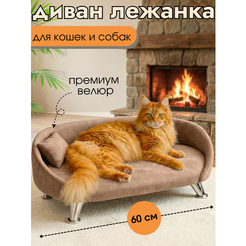 фото Лежанка диван для кошек и собак для мелких и средних пород 60*40 см заботливая лапа