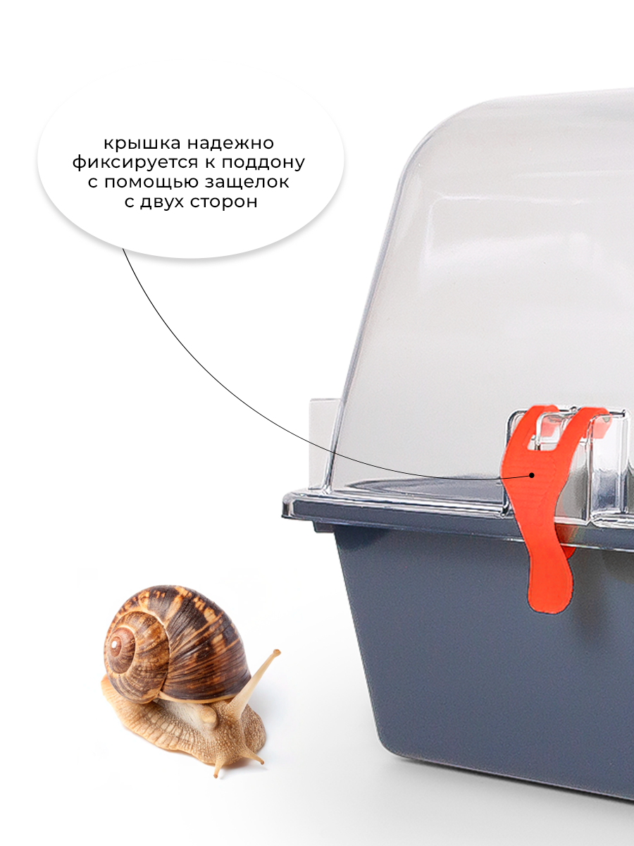 Террариум-клетка ZOOSET ДЮНА для улиток и мелких грызунов, 42х30,5х22,5 см, серый/оранжевый (прозрачная крышка) — фото 1