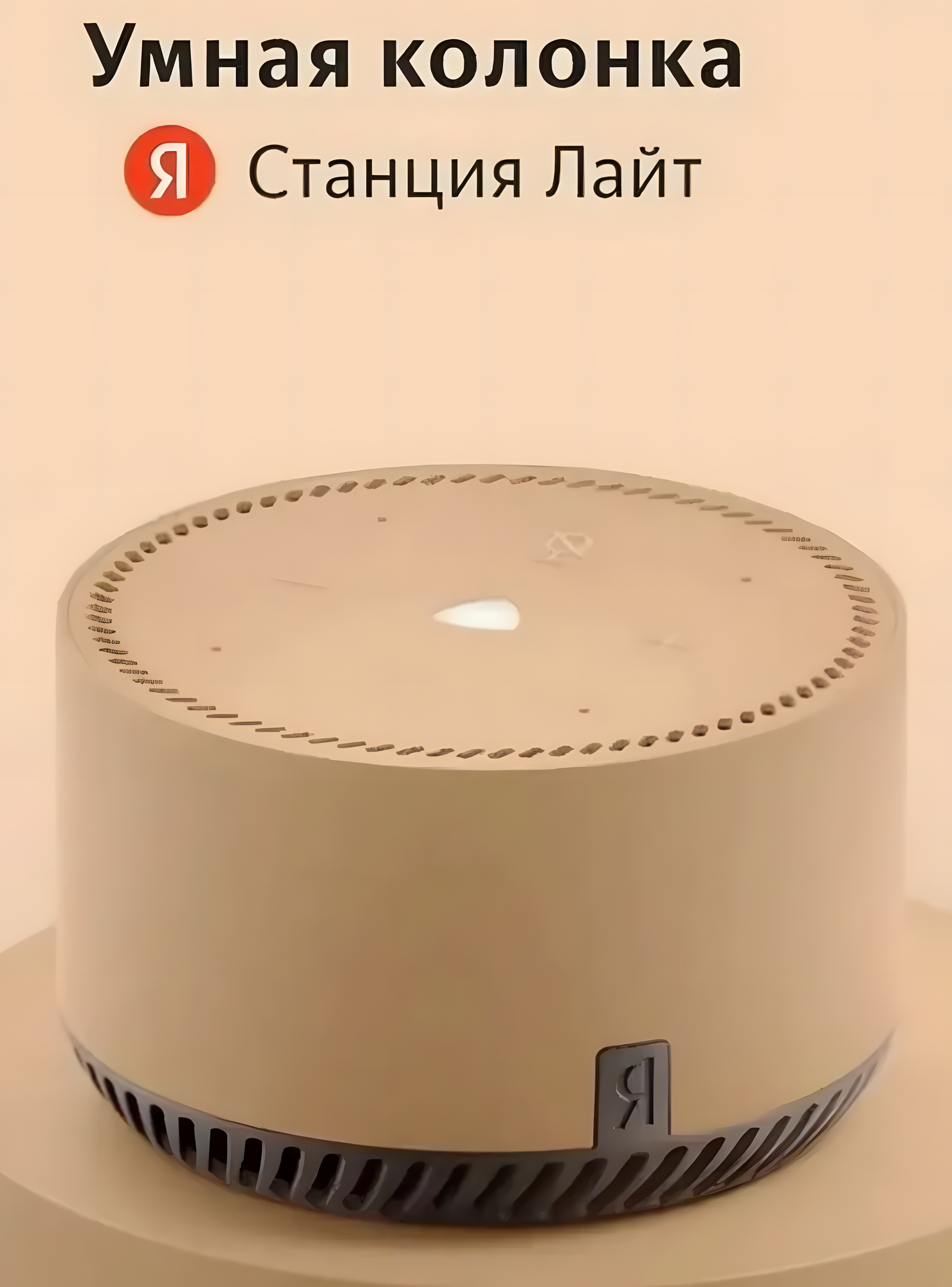 Умная колонка Яндекс Станция Лайт с поддержкой Алисой, в Коричневом цвете