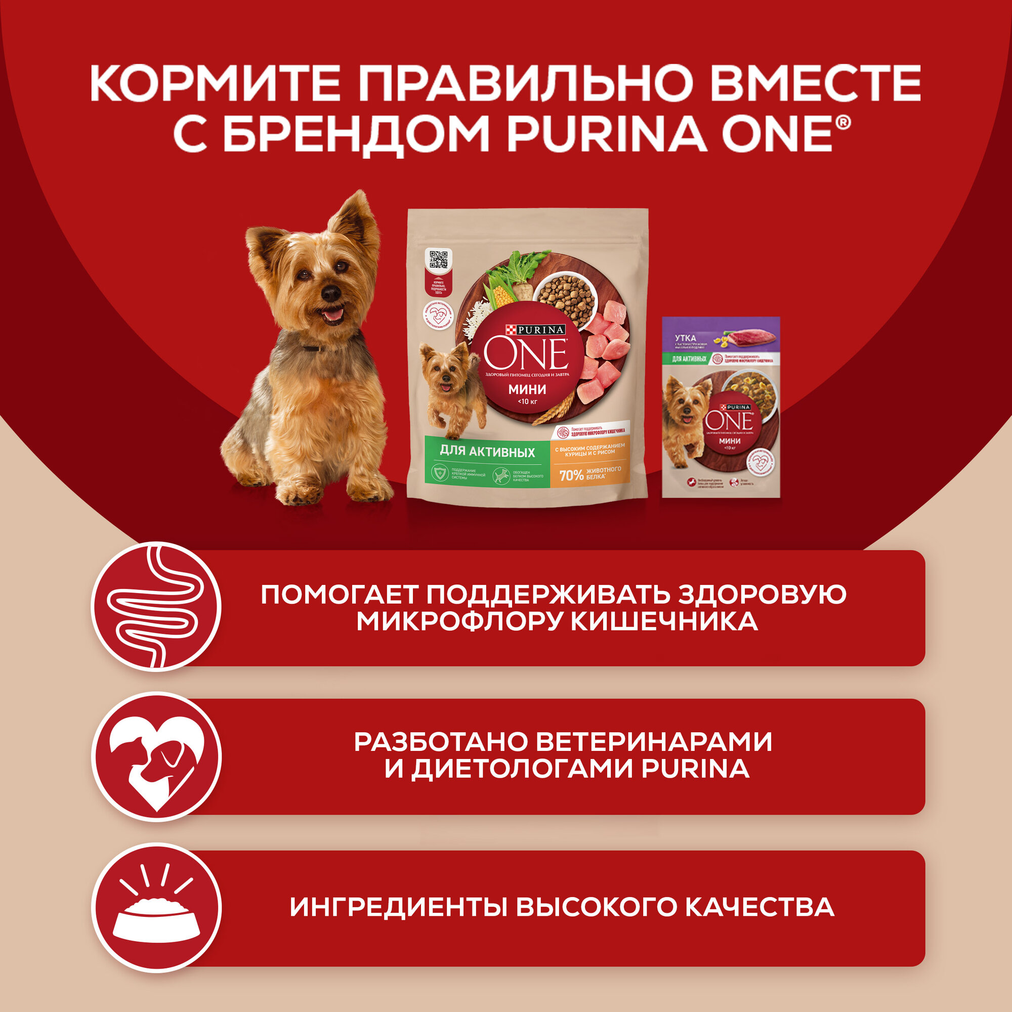Влажный корм Purina ONE® мини для активных собак мелких пород с говядиной, картофелем и морковью в подливе 85 г x 26 шт — фото 1