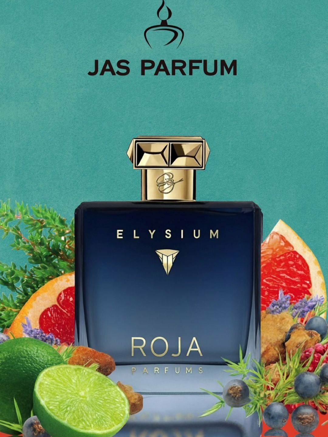Парфюмированная вода для мужчин, ROJA PARFUMS ELYSIUM, 100 мл, Турция