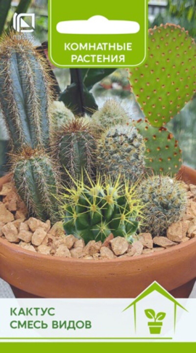 Семена Кактус Смесь видов лобивия ребуция корифанта мамиллярия цереус и другие (01 г) Агрофирма Поиск
