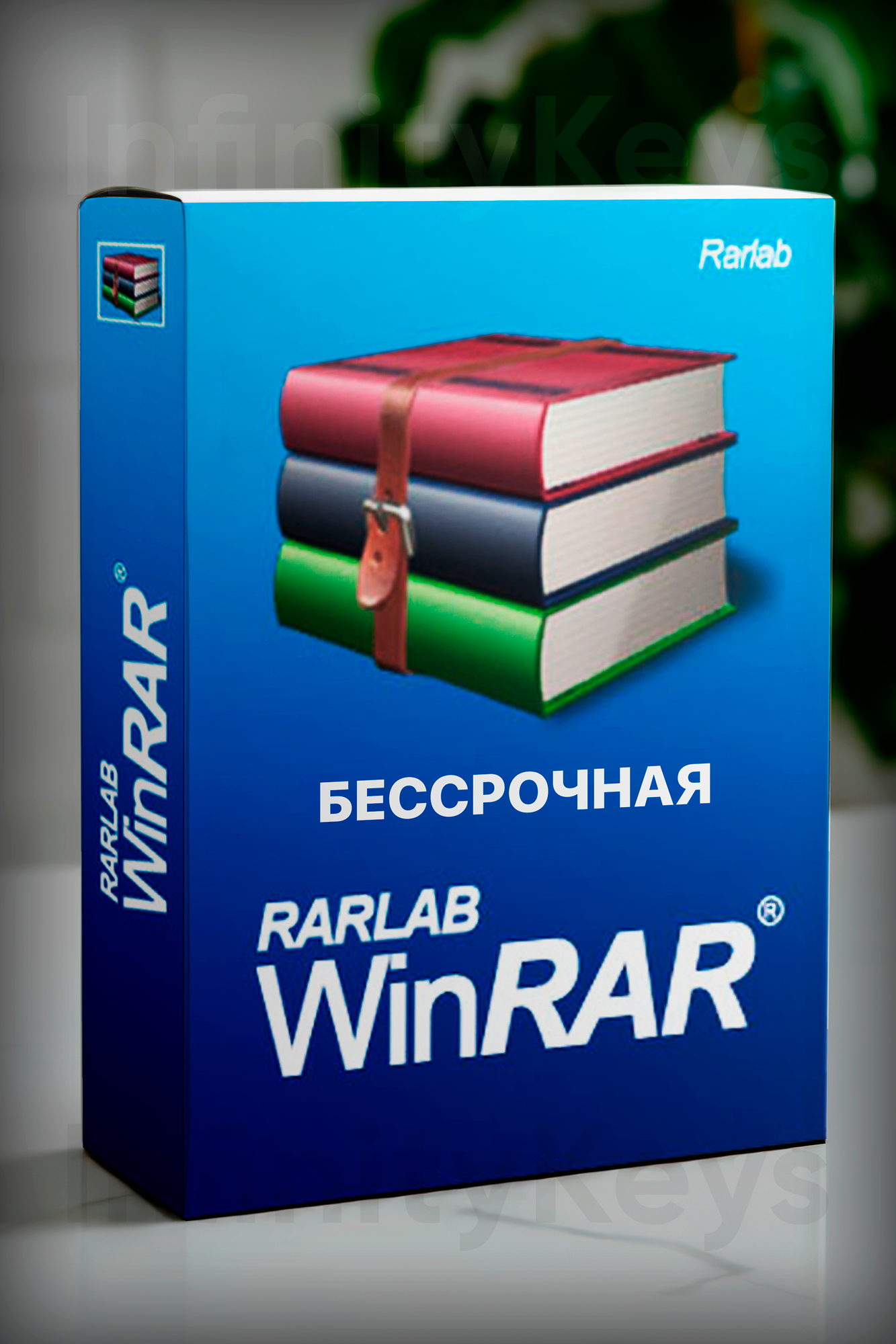 Winrar (1 устройство, Бессрочная лицензия) Официальная лицензия