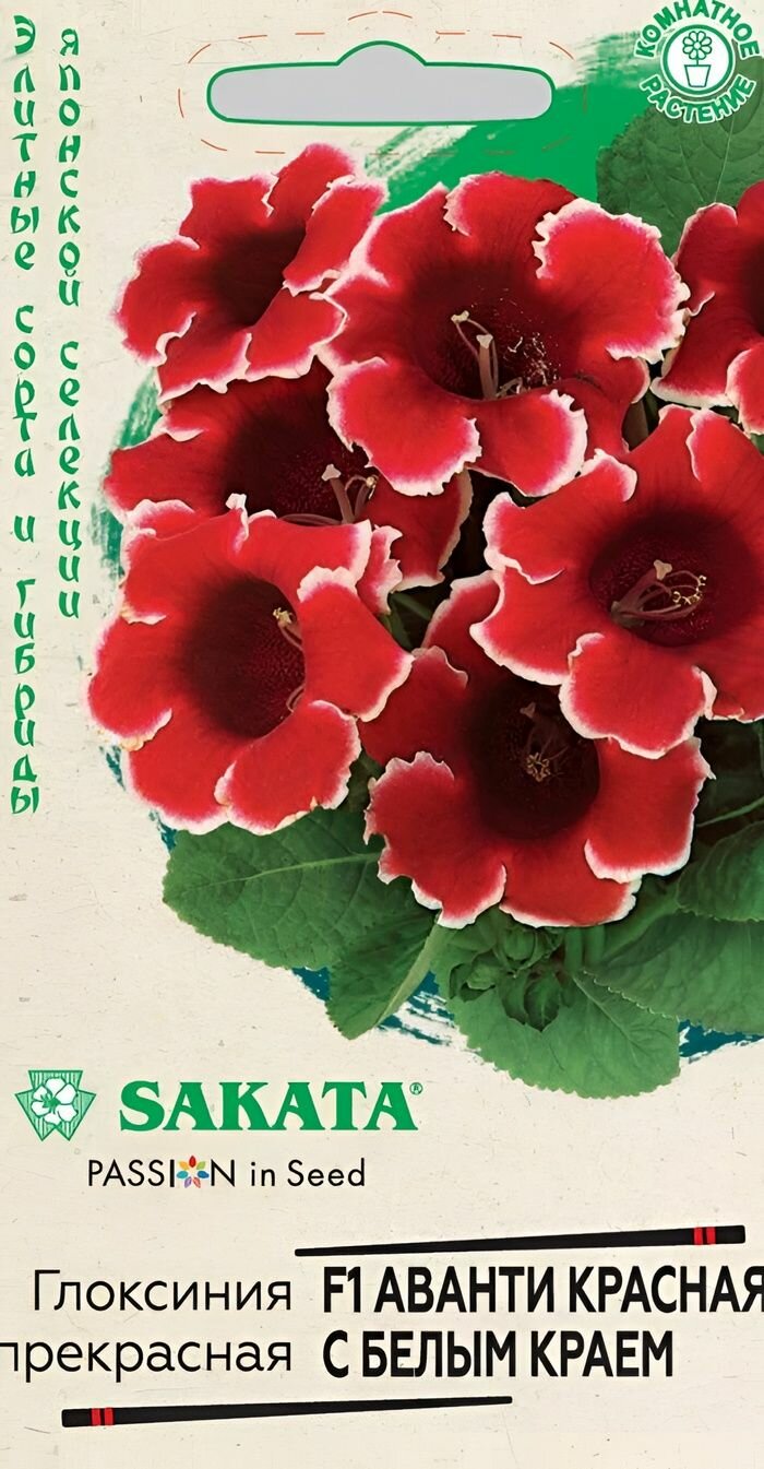 Глоксиния Аванти красная с белым краем F1