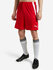 Шорты мужские PUMA teamLIGA