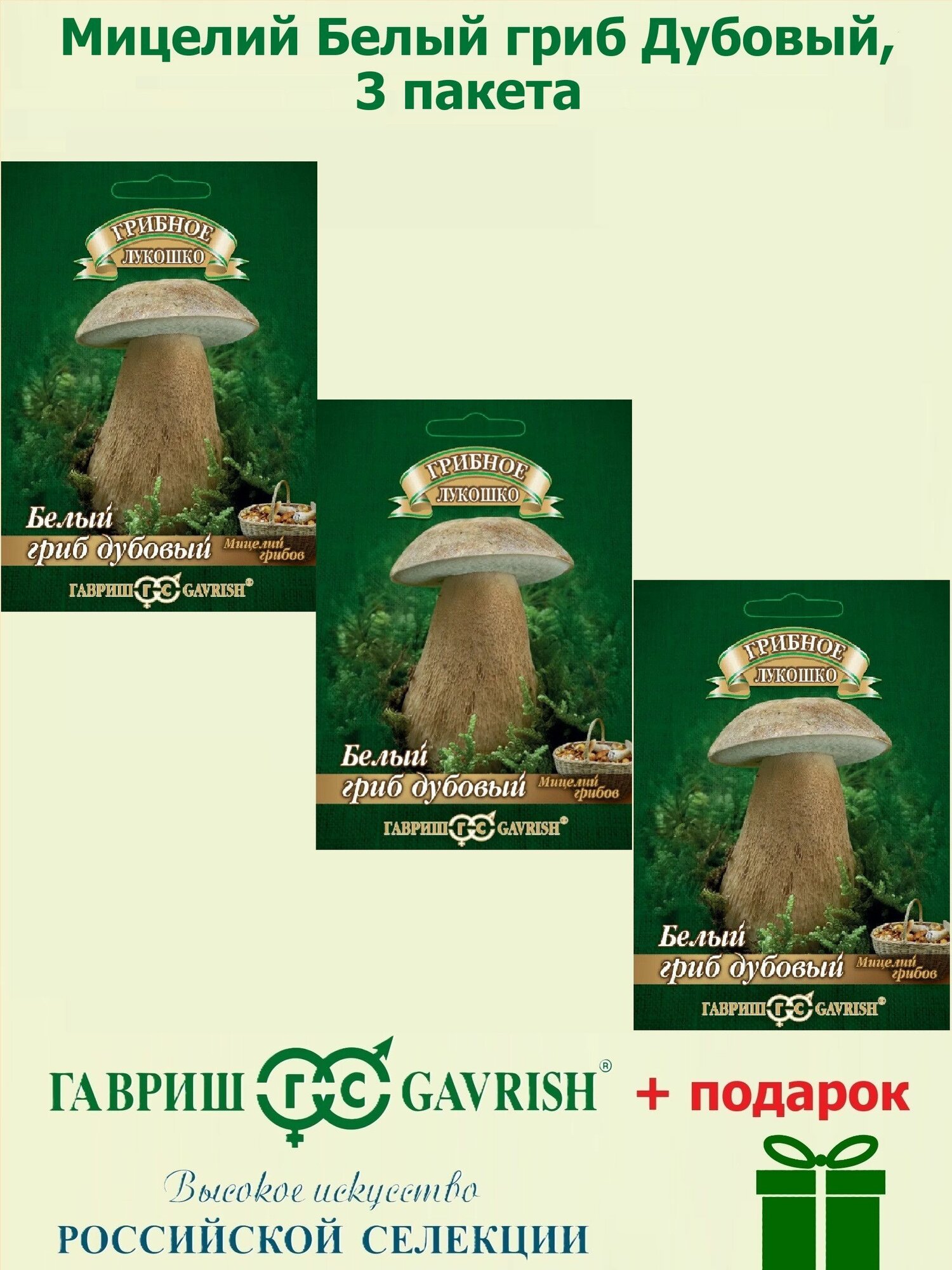 Набор Мицелий Белый гриб Дубовый на зерновом субстрате 3 пакета Гавриш