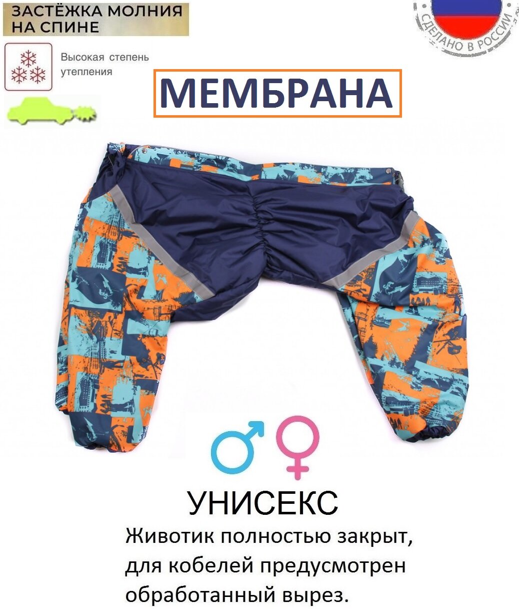 ZOOAVTORITET Теплый комбинезон для собак по спинке 68см (68см )