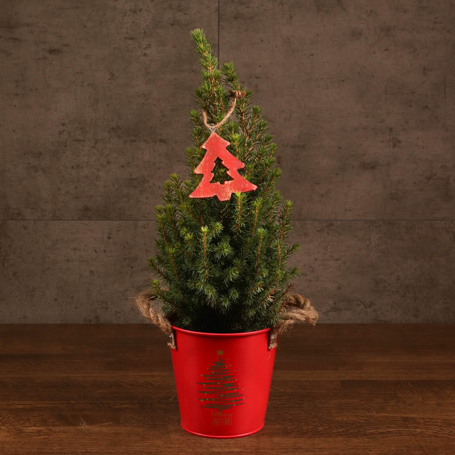 Ель новогодняя в красном ведерке 50/14