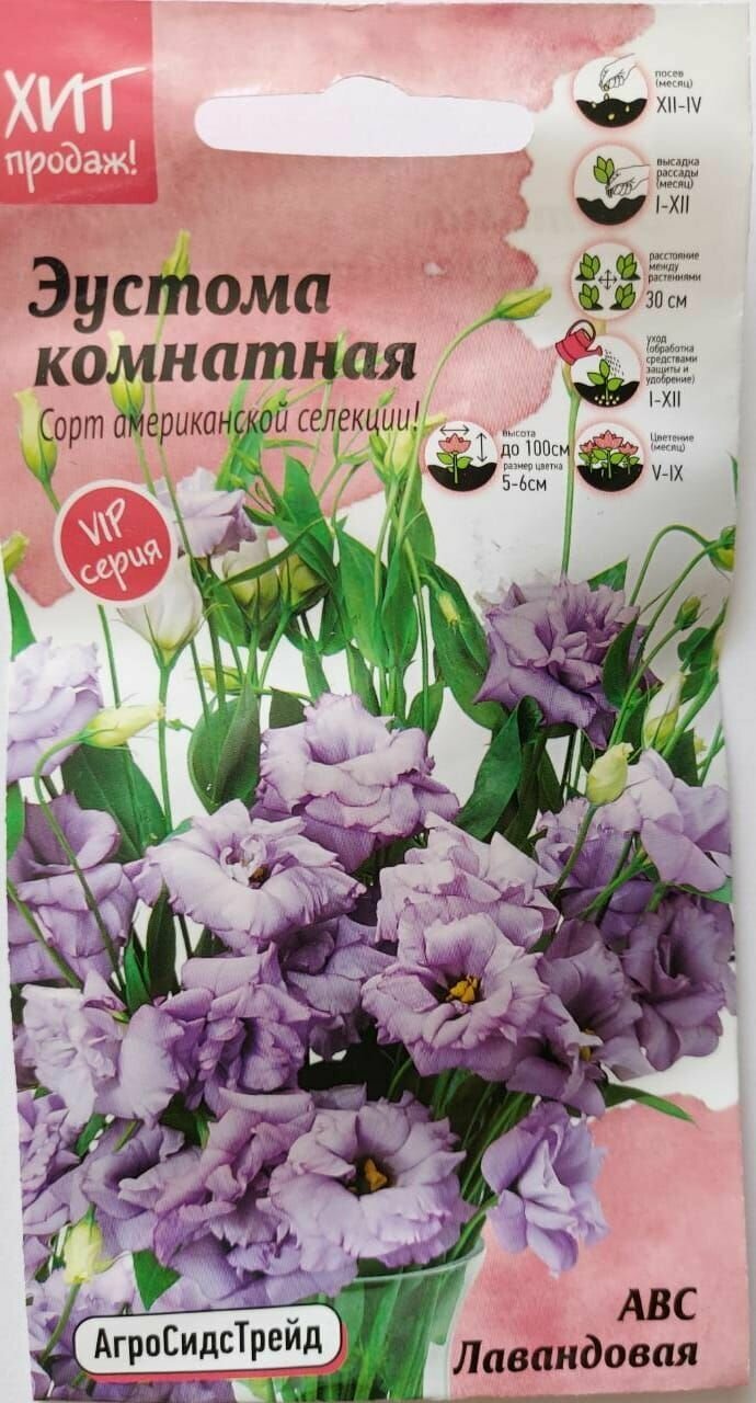 Эустома АВС лавандовая комнатная. Сорт американской селекции.