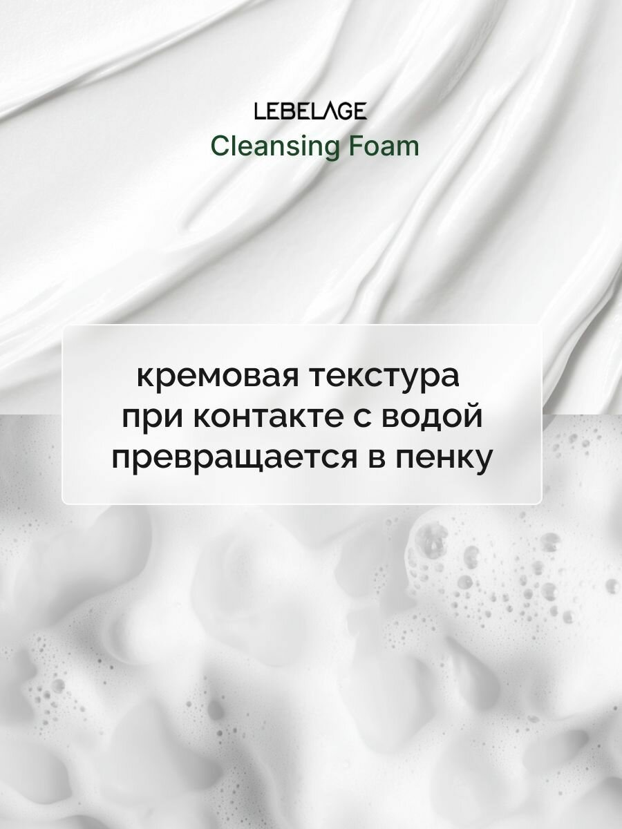 Lebelage Пенка для умывания, для снятия остатков макияжа, для ухода за кожей лица, шеи и зоны декольте с экстрактом зеленого чая, корейская косметика. 100 мл — фото 1