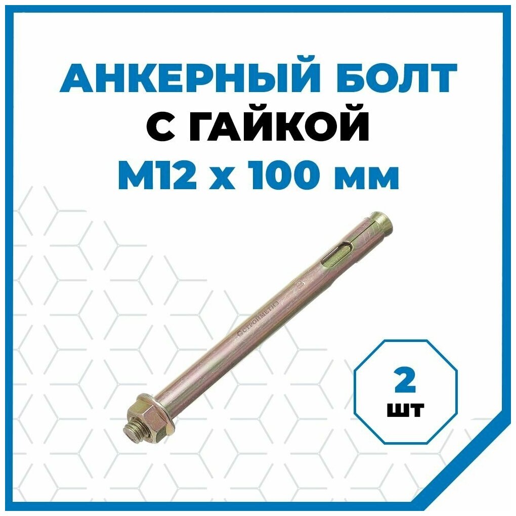 Анкерные болты Стройметиз с гайкой 12х100, сталь, покрытие - цинк, 2 шт.