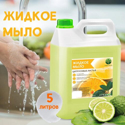Жидкое мыло для рук туалетное 5 литров Цитрусовые Листья