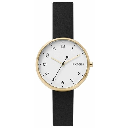 фото Наручные часы skagen skw2626