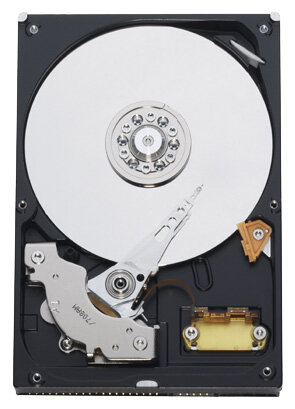 Жесткий диск Western Digital WD Blue 80 GB (WD800JB)