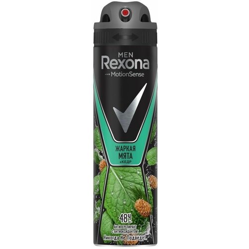 Rexona Дезодорант антиперспирант-аэрозоль for men Дикая мята и кедр, 150 мл, 3 шт.