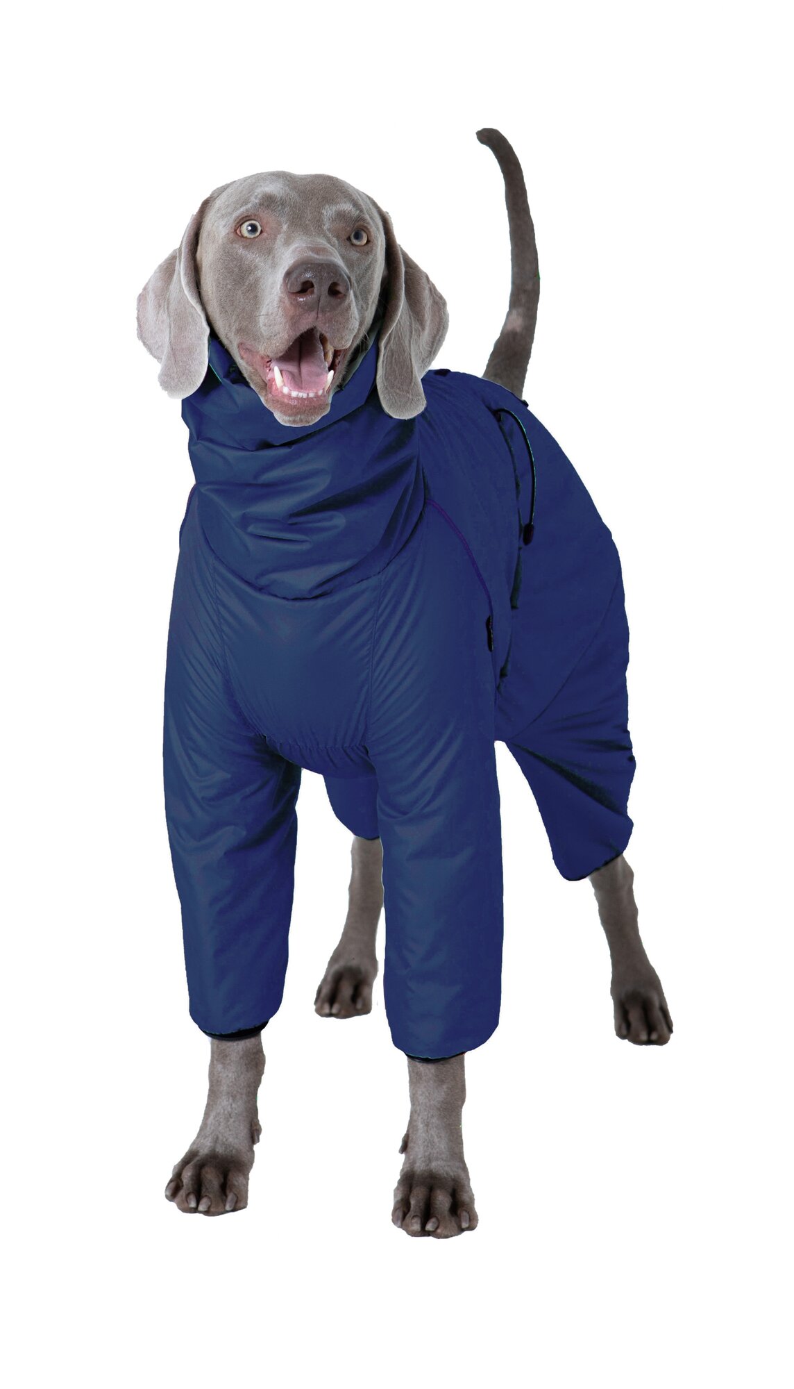 Дождевик комбинезон для собак средних пород, цвет т.синий/черный, М4 - фотография № 2