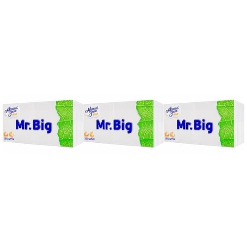 Мягкий знак Салфетки бумажные Mr. Big однослойные, белые, 250 шт 3 упаковки / салфетки бумажные sakura с ароматом сакуры 2 слоя белые 250 шт кор спайка 3 шт