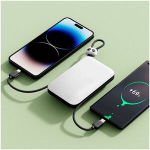 Внешний аккумулятор SOLOVE Power Bank 10000mAh (W16 White RUS) Russian White