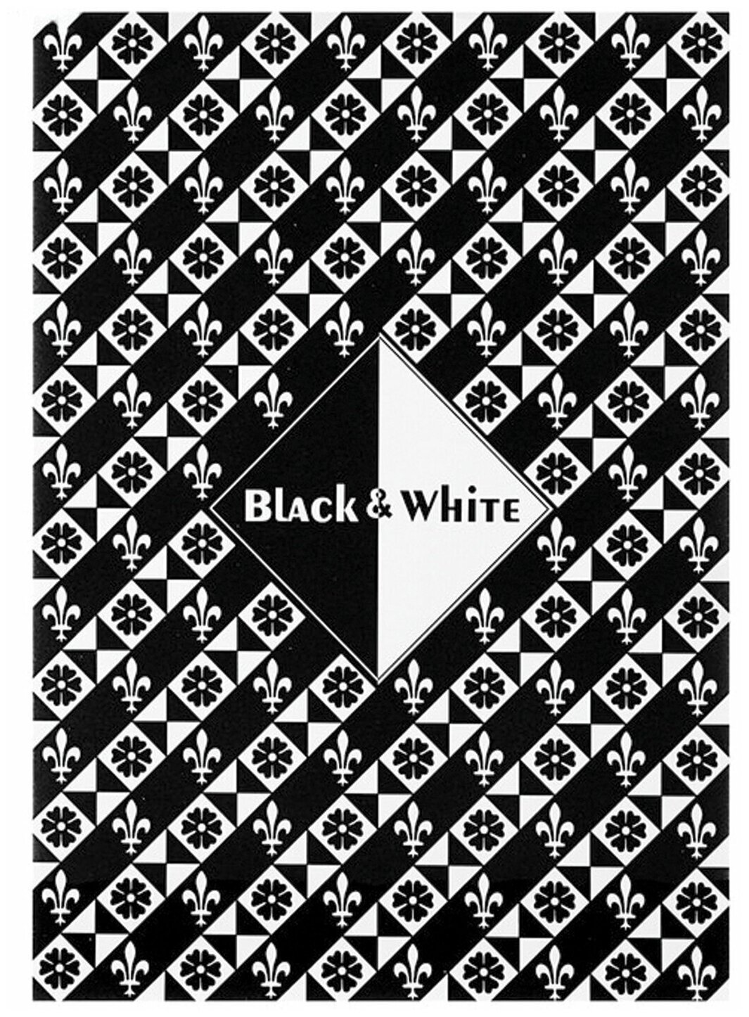 Папка-планшет для эскизов Лилия Холдинг А4, 210*297 мм, 30 листов, 2 цвета, 160 г/м2, твердая подложка, "черный и белый" (ПЛ-0304)
