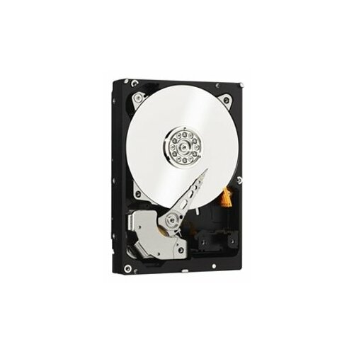 Жесткий диск Western Digital WD Re 250 ГБ WD RE 250 GB (WD2503ABYZ) жесткий диск western digital 250 гб wd caviar 250 gb wd2500bb